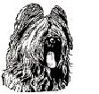 gueule de Briard