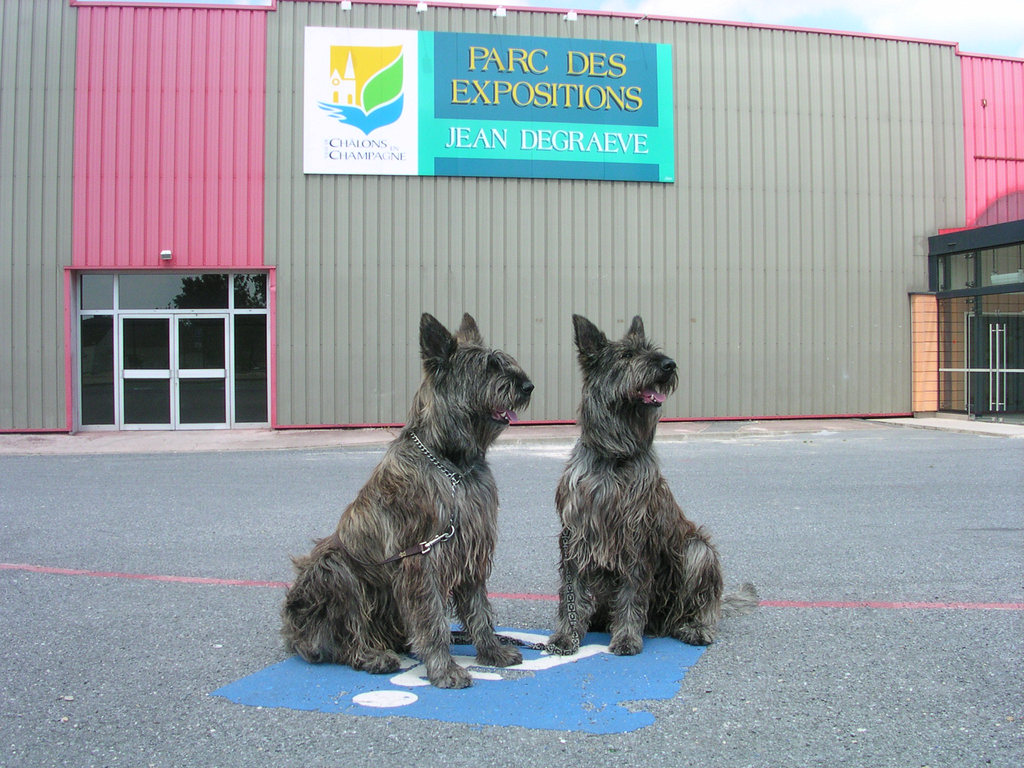Taz et Twix