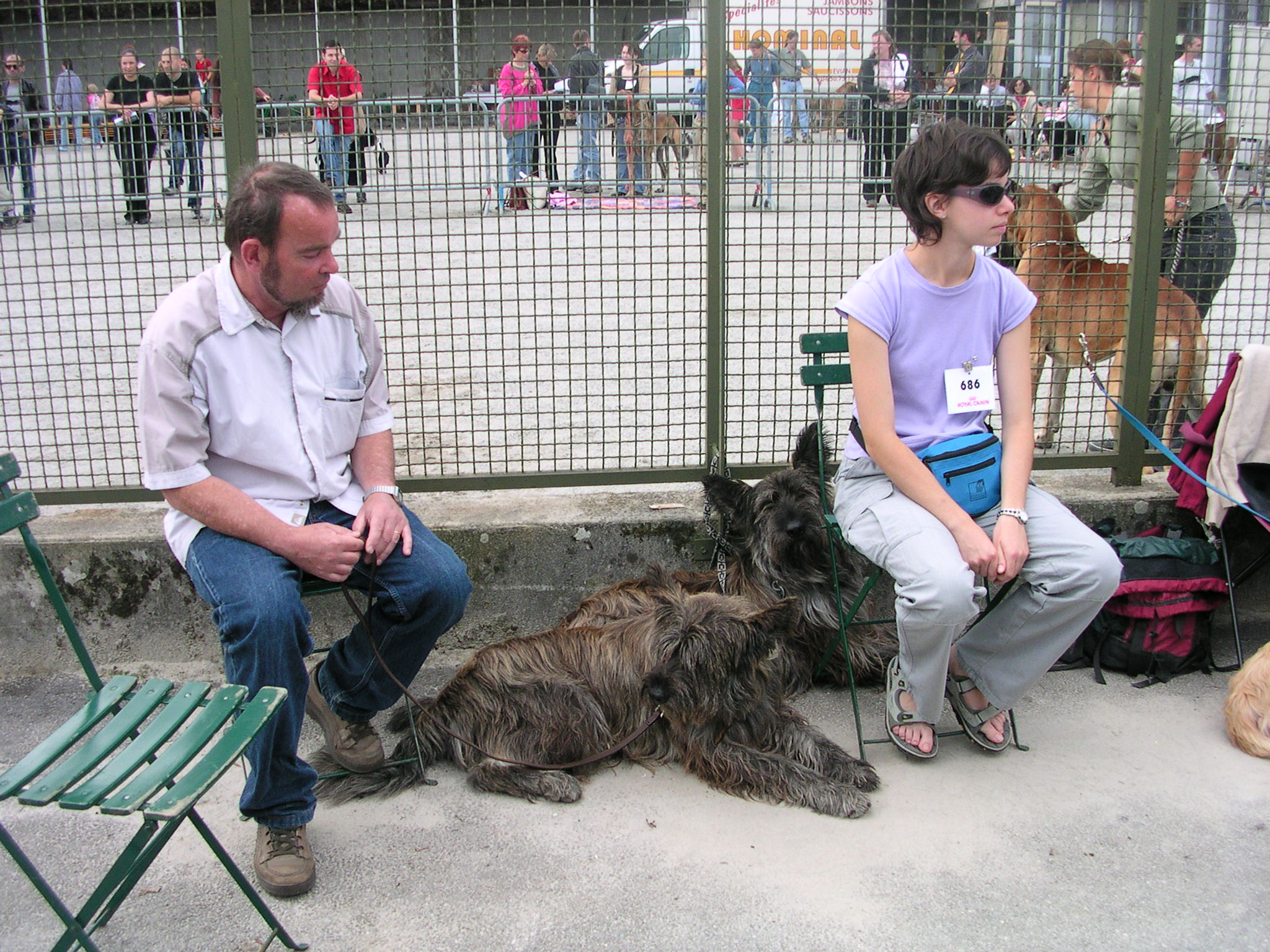 Taz et Twix en attente de jugement
