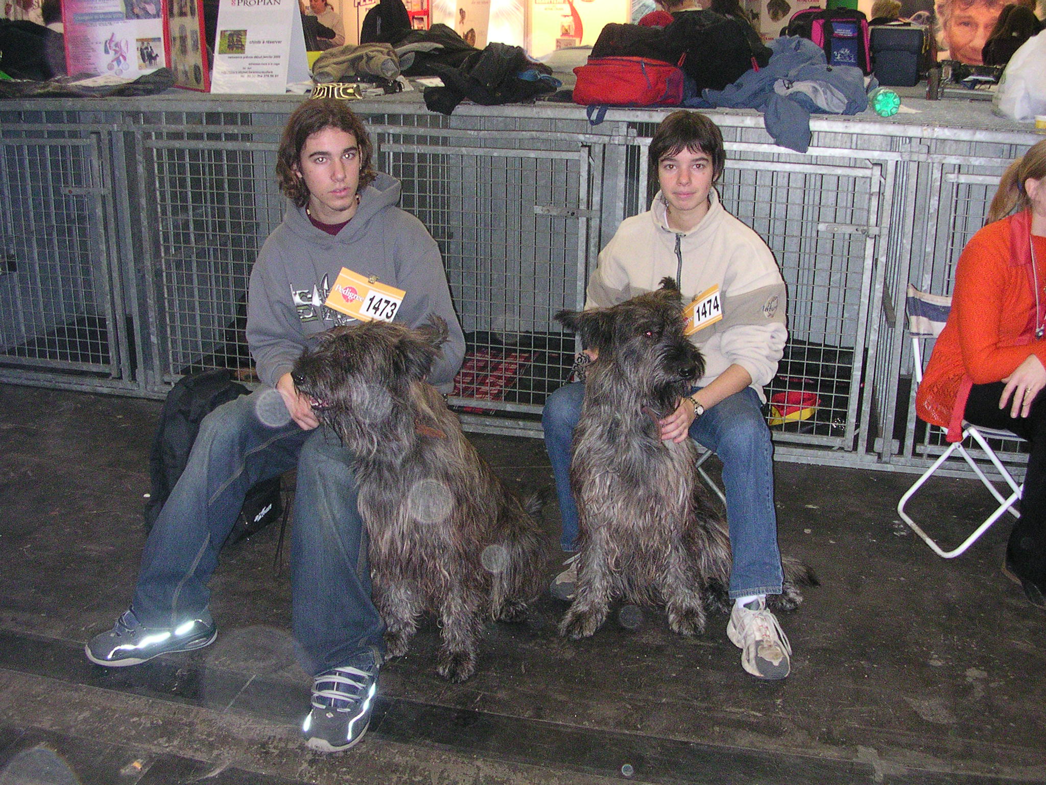 Taz et Twix avant l'épreuve