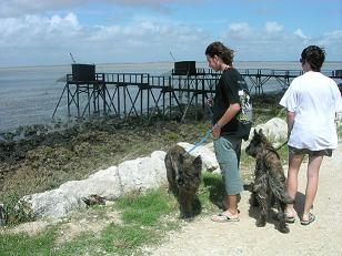 Devant Fort Boyard