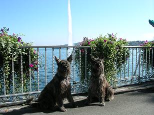 Jet d'eau sur le Lman,  Genve (Suisse)