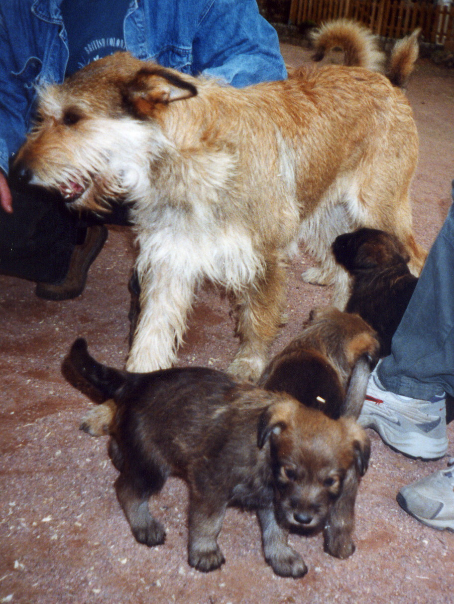 maman et bbs