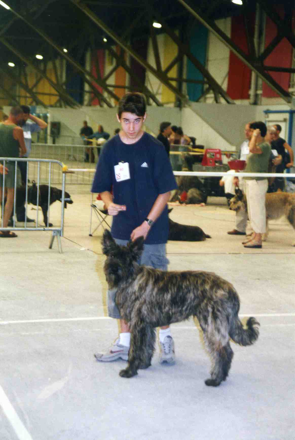 Taz
